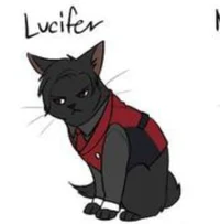 Lucifer the Cat