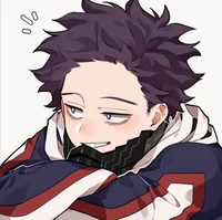 Hitoshi Shinsou 