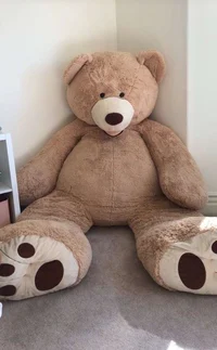 Teddy Bear