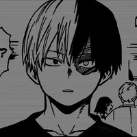 Husband Todoroki