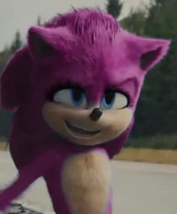 Sydney the hedgehog 