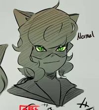 Wally Noir