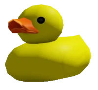 Ducky -CTD-