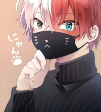 Shoto Todoroki