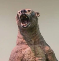 Short-faced bear