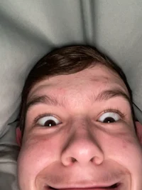 cricket under ur bed