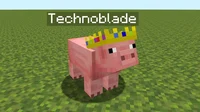 Technoblade pig