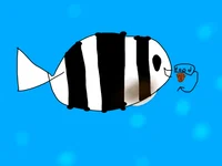 Zebra the fish