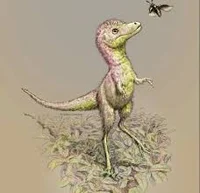 Baby Tyrannosaurus