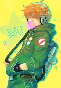 Brief