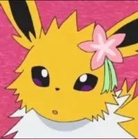Flower the Jolteon