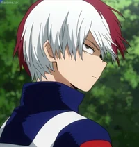 Shoto todoroki