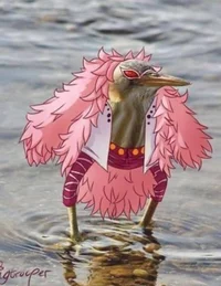 Bird Doflamingo