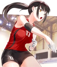 Volleyball GF