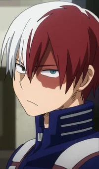 Shoto todoroki 