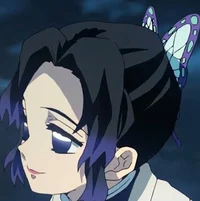 Shinobu kocho hashir