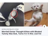 Zombie apocalypse RP