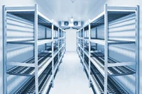 Survive in a freezer