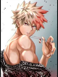 Katsuki Bakugou 