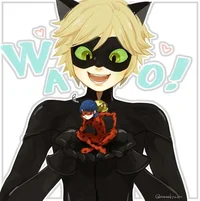 Chat Noir