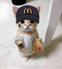 Mcdonalds Cat worker