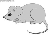 Mouse