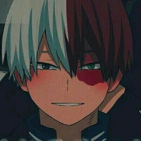 Shoto todoroki