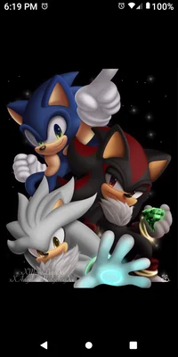 Sonic Shadow Silver
