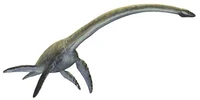 Elasmosaurus