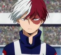 Shoto Todoroki