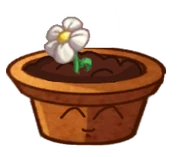 Flower Pot