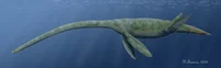 Styxosaurus
