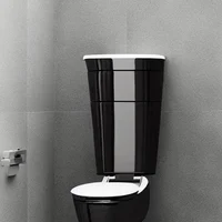 skibidi toilet