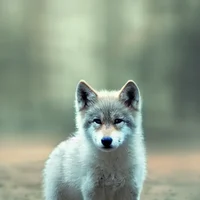 Wolf pup simulator