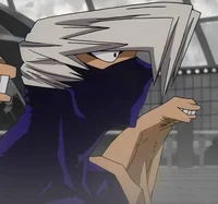 Mezo shoji