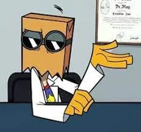 Dr Flug