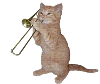 Trumpet Cat
