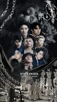 Stray kids 