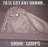 Moth