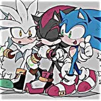 Sonic Shadow Silver