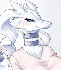 Comfort Reshiram 