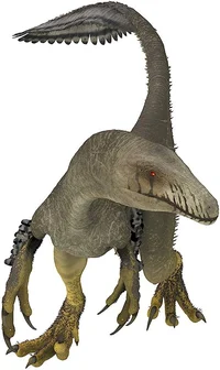Velociraptor
