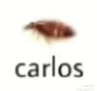 carlos