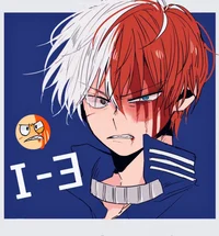 Shoto Todoroki 