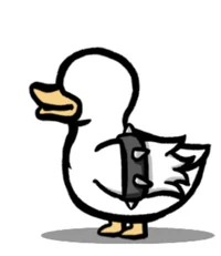 duck 3