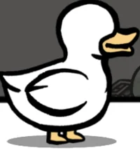 Normal duck