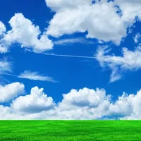 Infinity Green Field