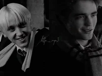 Draco and Cedric 
