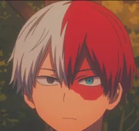 Shoto Todoroki -Bf-