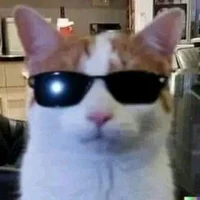 @Chicken_Dynnie - Character AI chatbot creator profile picture